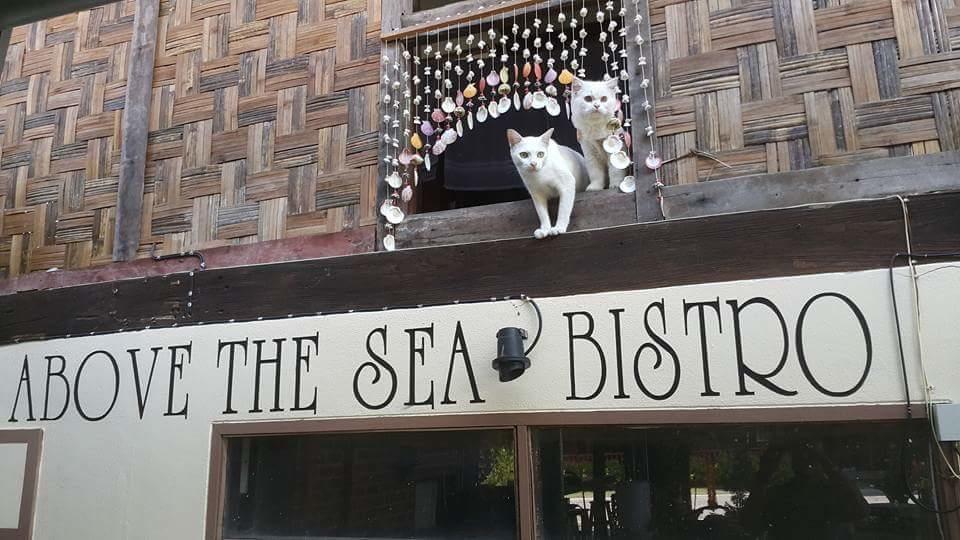 गेस्ट हाउस Above The Sea Maesariang Mae Sariang